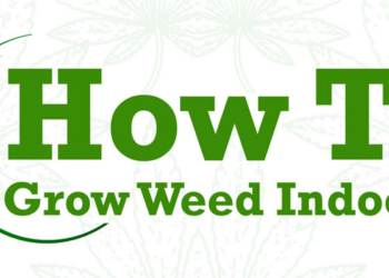 Ultimate guide to growing Marijuana indoors