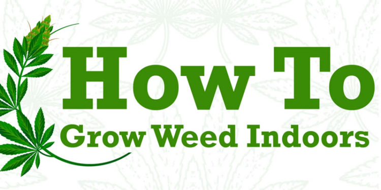 Ultimate guide to growing Marijuana indoors
