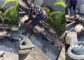 Lady calls out fruit sellers for allegedly washing their fruits with gutter water in Agungi