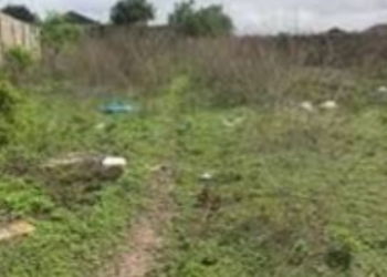 Councillor killed over land tussle in Anambra