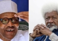 COVID-19: Presidency mocks Soyinka over comments on lockdown, says he is fiction writer not medical professor