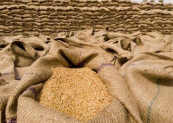 Processed Grains ( Image To Depict Story)