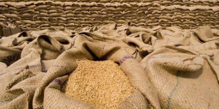 Processed Grains ( Image To Depict Story)
