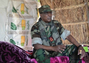 Boko Haram: Pro-democracy group berates PDP, opposition over Deby's fraudulent role