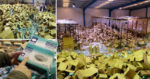 Man arrested for stealing and selling 2 million face masks