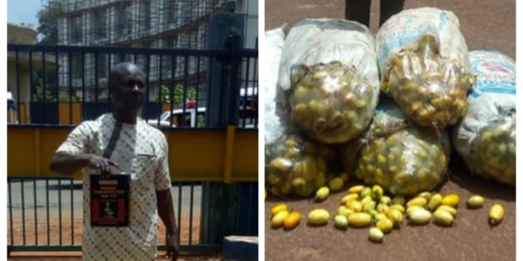 Man arrested for poisoning 143 bags of garden eggs in Enugu