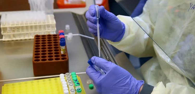 Coronavirus vaccine may be ready by September, says Oxford scientist