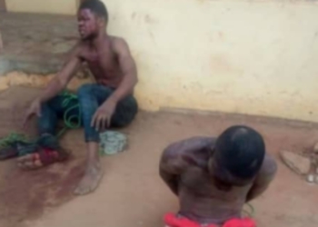 Suspects arrested as Lagos police foil robbery attempt in communities under Ogun state