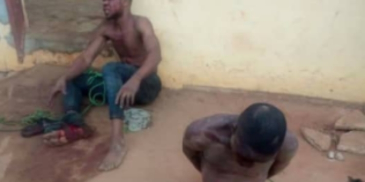 Suspects arrested as Lagos police foil robbery attempt in communities under Ogun state