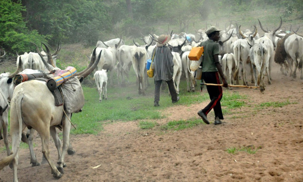 Man killed over cow in Delta State
