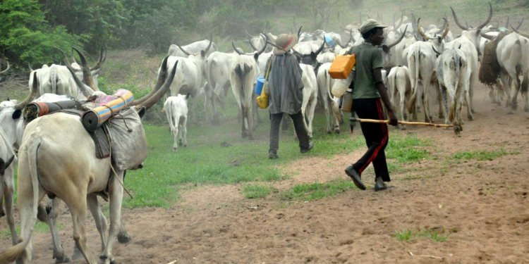Man killed over cow in Delta State