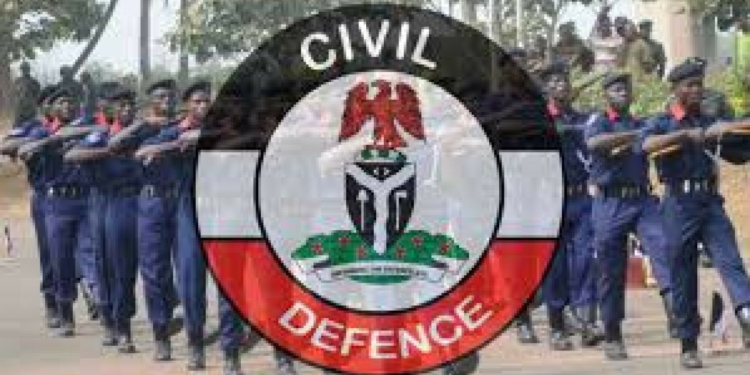 NSDC officers capture COVID-19 patient who attempted to escape from isolation centre in Kaduna