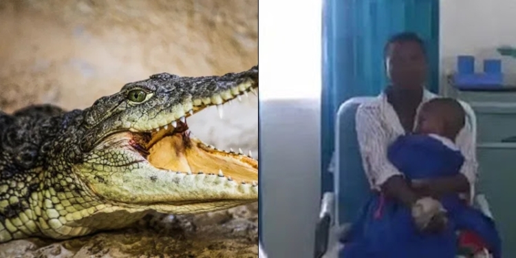 Mom battles a killer crocodile to rescue her son from its jaws