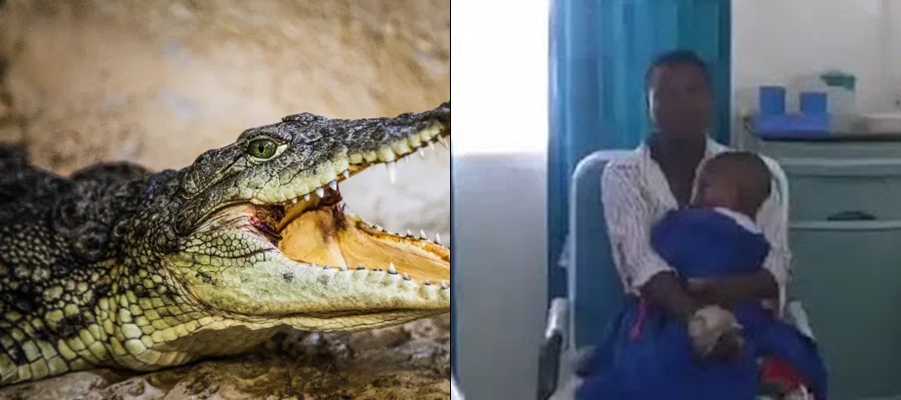 Mom battles a killer crocodile to rescue her son from its jaws