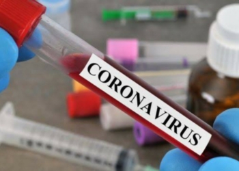 Nigeria records 117 new COVID-19 cases, total now 782