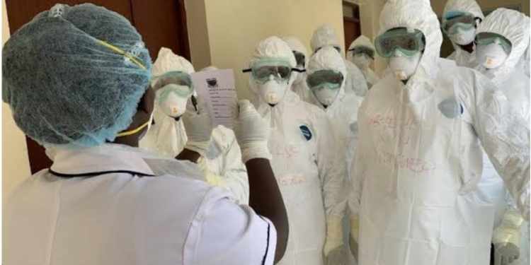 Seven health workers test positive for COVID-19 in Borno