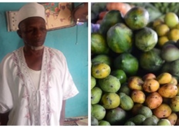 We’re tired of eating mangoes, blind people cry out in Niger
