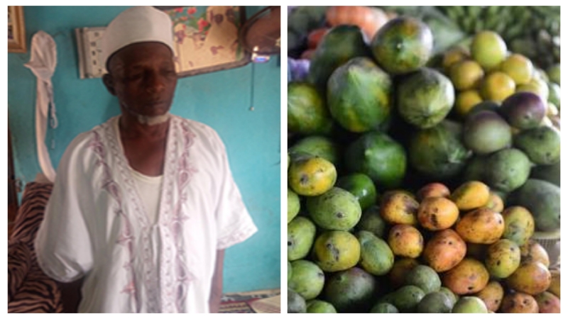 We’re tired of eating mangoes, blind people cry out in Niger
