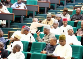 House of reps fixes resumption for Tuesday amid COVID-19 pandemic