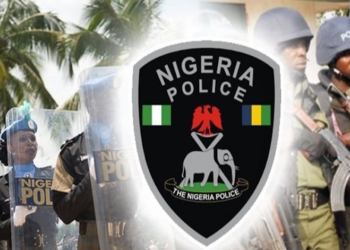 37-year-old woman arrested for allegedly stabbing mother-in-law to death in Niger state