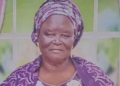 Adamawa State Gov, Fintiri loses mother