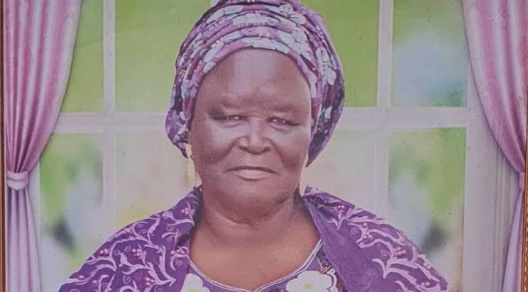 Adamawa State Gov, Fintiri loses mother
