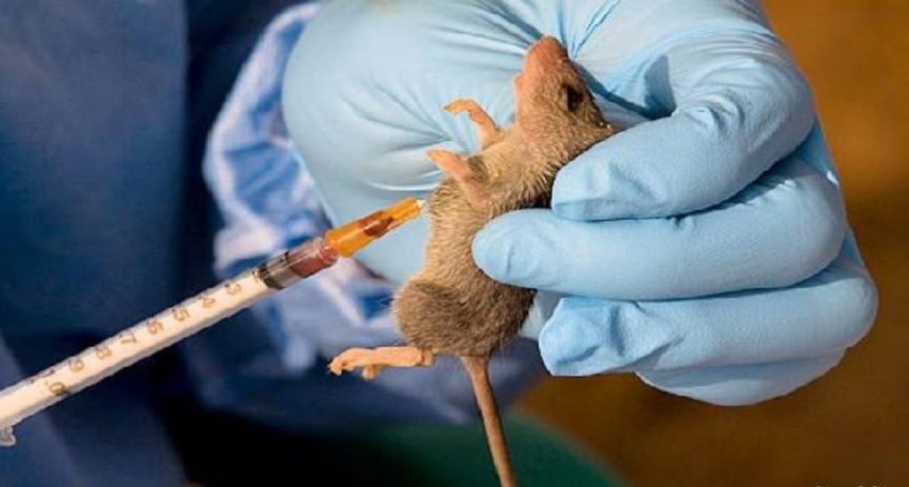 Emergency phase of 2020 Lassa fever outbreak over, says NCDC