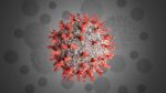 Coronavirus can spread through sex