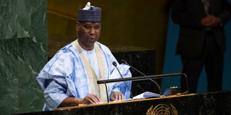 Nigeria becomes member of UN Economic and Social Council