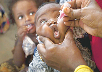 WHO declares Nigeria polio free