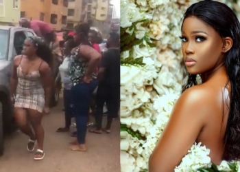 VIDEO: Ex-BBNaija star, Cee-C's car fails brake in Enugu