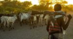 Suspected herdsmen abduct nine passengers in ondo, demands N100m ransom