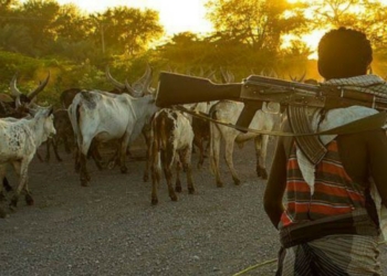 Suspected herdsmen abduct nine passengers in ondo, demands N100m ransom