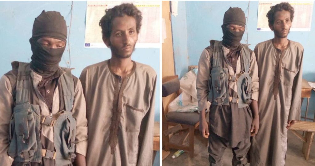 Military arrest two foreign armed bandits, disrupt cattle rustling operation in Niger