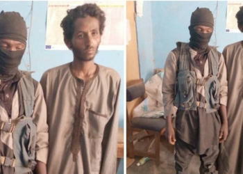 Military arrest two foreign armed bandits, disrupt cattle rustling operation in Niger