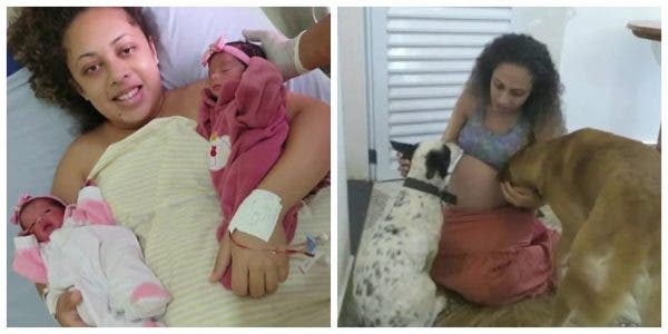 Family dog mauls newborn twin to death after mom waited 9 years to have them