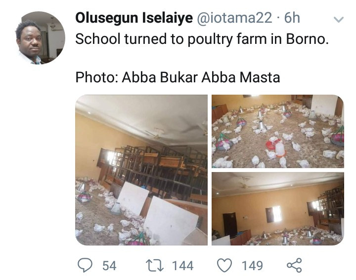 Borno classroom turned into a poultry farm as schools remain closed due to the pandemic