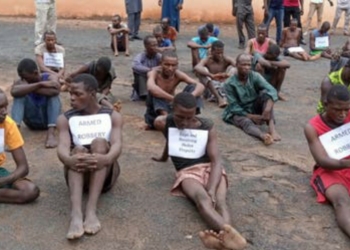 Adamawa Police parade 33 kidnappers,10 robbery suspects