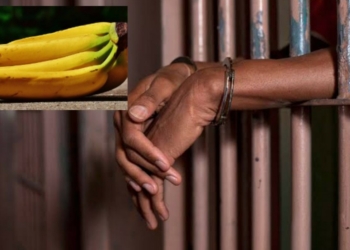 Osun man sentenced to a month in jail for stealing plantain