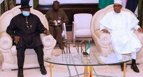 No tension between Buhari and Jonathan, says Adesina