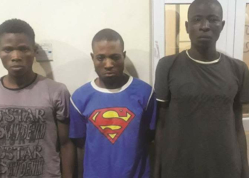 Police arrest brothers, native doctor for stealing grandpa's N550000 after killing his wife