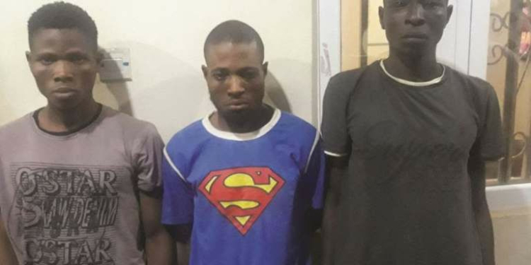 Police arrest brothers, native doctor for stealing grandpa's N550000 after killing his wife