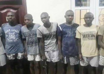 Police arrest Ogun factory workers for killing boss’ dad