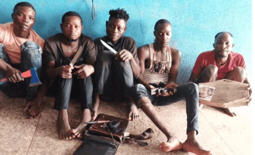 Police arrest five robbery suspects terrorising Ogun community