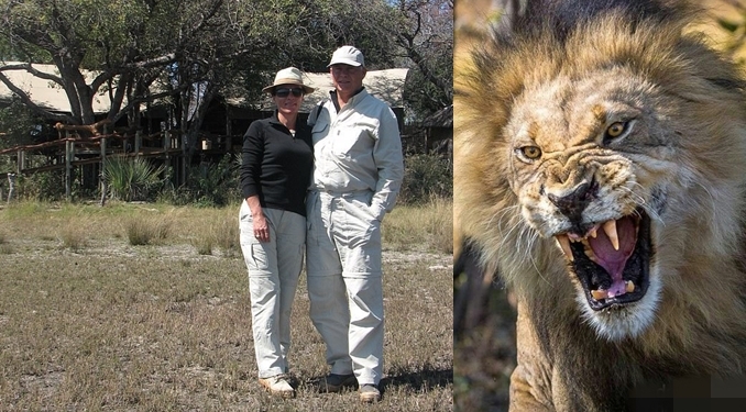 Tourist had part of his arm ripped off by a lion as he slept in a tent in Tanzania alongside his wife
