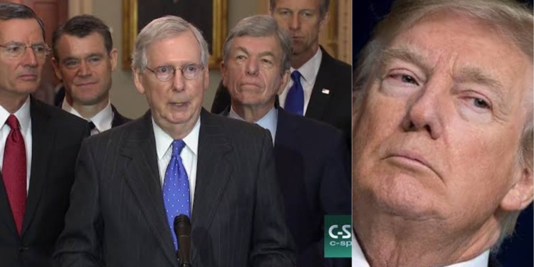 10 top Republicans openly dismiss Trump's calls for postponing presidential elections