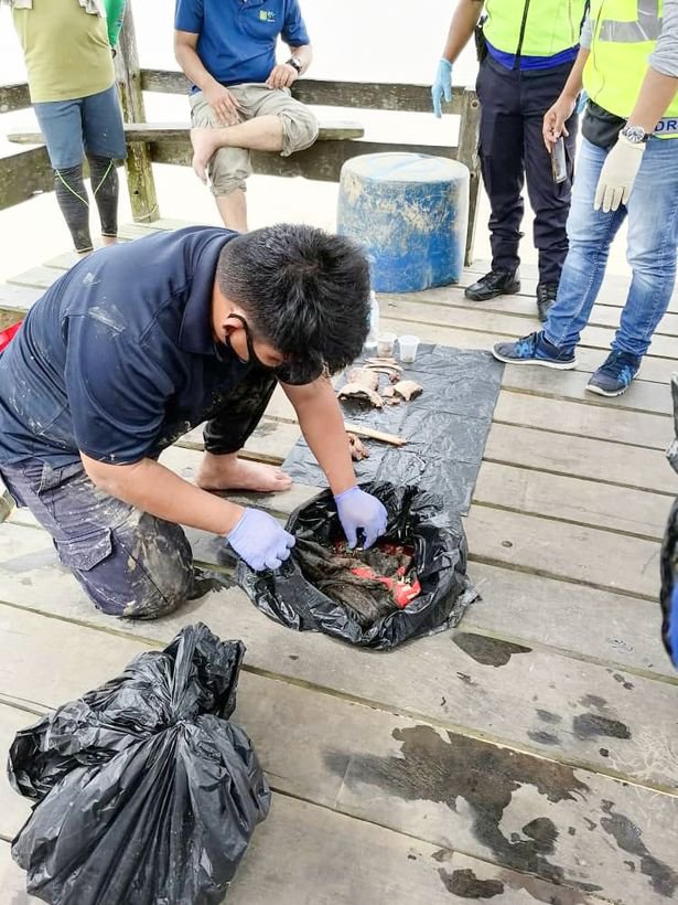 Remains Of Missing 14-Year-Old Boy Found In Crocodile’s Stomach (See Photos)