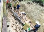 Remains Of Missing 14-Year-Old Boy Found In Crocodile’s Stomach (See Photos)