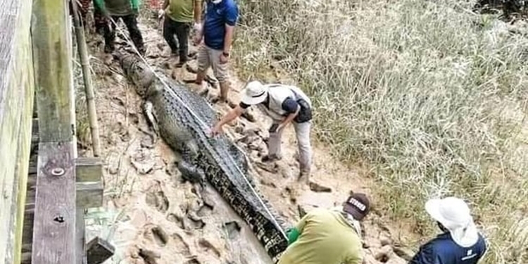 Remains Of Missing 14-Year-Old Boy Found In Crocodile’s Stomach (See Photos)