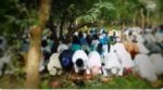 PHOTOS: Boko Haram releases footage of members observing Eid Al-Adha prayer in Niger